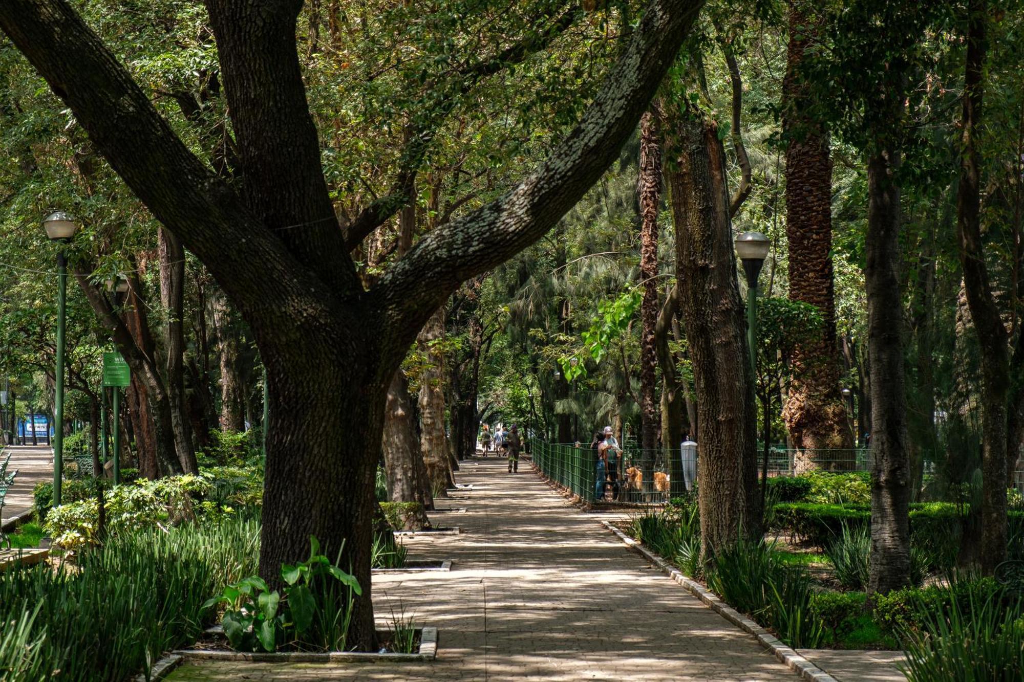 Nido Roma Norte Ciudad de México Exteriér fotografie