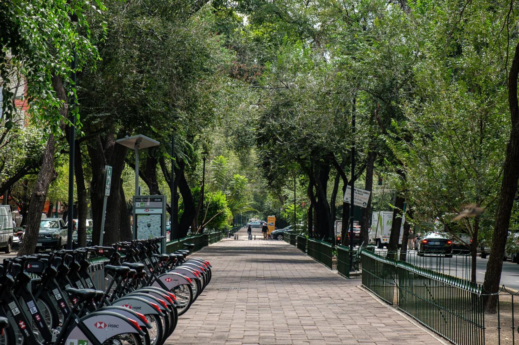 Nido Roma Norte Ciudad de México Exteriér fotografie